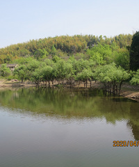 ԭ��̬��ɽ��ԽҰ��·����̶���ƺˮ������ɽ���˻�����������