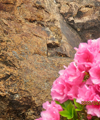 ����֮����ɽ�У��ǰ����µ�һʯ������ӡ������