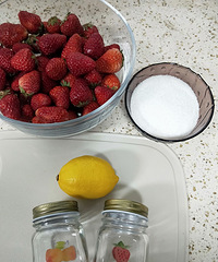 ��ݮ�ļ��ھͿ��ȥ�ˣ��ǾͰ����ݮ����