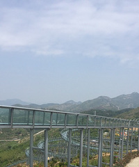 �������Ų�����