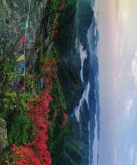 ̨���⼸��ɽͷ��½������ž黨����ͻ��ڣ�����ȫ���ԣ�