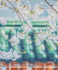 ��һ��׼�����������ȥ����ǰ����Ҫ��ԤԼ