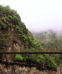 ��Ƭ��ɽ���ϵ�ԭʼɽկ������鲼�˸��ҿ�ȫ��ĵ�