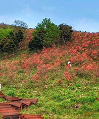 ɽ������ʱ����