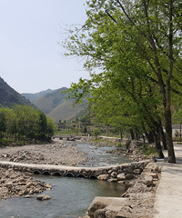 ����ɽ��̽�ž黨��ֻ���ž黨�Ƕ䣬Ұӣ��������ʢ