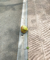 �������ġ�����ʲô����