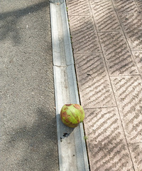 �������ġ�����ʲô����