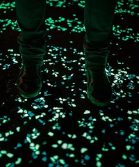 �ޣ�̨������ӫ���ܵ������仧�������