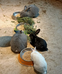 ����һ���Σ�����һ��Ǯ��ȥ����Щ���޺õط�