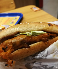 һ���������Σ��Ź����ı��ˣ����ԳԶ��ǿ��Ե�