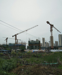 ���ױ�Ӻ�Z�������ֳ�