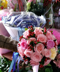 ��ɫ��������������˶���׺��Ԣ��Ҳ������