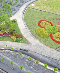 Ψ���ɾ�̨�ݣ���Լ�³»���