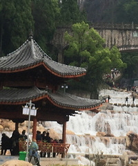 ̨��wanghong��������Ʊ̫������