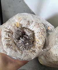 Ȥ������С����ÿ�쿴�����ǳ���ܸ���