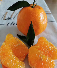 ���۸��᡿���ӱ����������4S��Ա㷹��