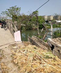 �����ô�ݣ��������˵���Ҷ