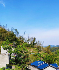 ����ʱ��̫��ɽ�Ķž黨