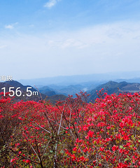 �߰�ˮ���ɽ�����������ʹ���ɽΨ���ž黨��