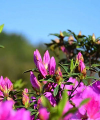 �ž黨���˰���죡�˼������£�������Ƭ��������Լ���ˣ�