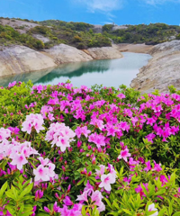 �ž黨���˰���죡�˼������£�������Ƭ��������Լ���ˣ�