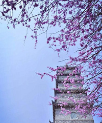 ̨����10������ɽ�壬����̤���ʱ��