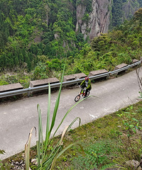 �����������ŵ��Ｃ����˾����Щ��ʧ����ɽ��