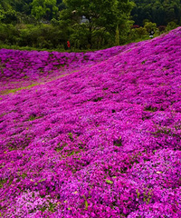 �����⴦ǧ���ؾ��ѱ�֥ӣ����Χ��������ֵ����ͻ��ڣ�