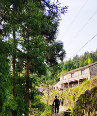 �����������ŵ��Ｃ����˾����Щ��ʧ����ɽ��