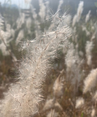 ���۸��᡿��һ��ѡ����λ��Ǵ��ڼ�