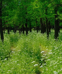 ��Ȼ����ϴ�ε�