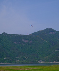 ��Ȼ����ϴ�ε�