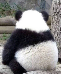 90�꽷��������Ů���ѣ�������ƹ�����������ȫ