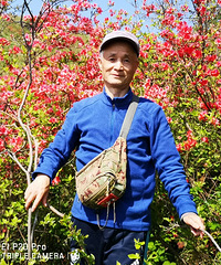 ֥ӣ�������Ĺ�/̫��ɽ�϶ž��