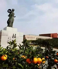 ���ҡ��ٺ����񻷡��ɾӡ���̨�����ž�������һ���ڼ�ʵʩ����