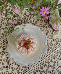 ��������Ӻÿɰ����ۺ�ϵ������Ů�İ�