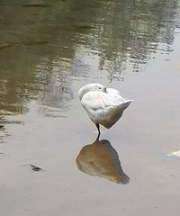 ��ɫ������۲��ͣ���Ʊ100�е����С������ʳ��Ͳ�۸����