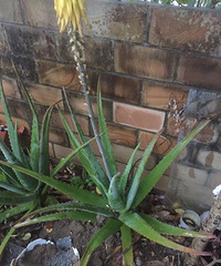 «����ô���ˣ�