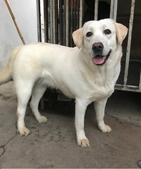 ����������Ȯ����