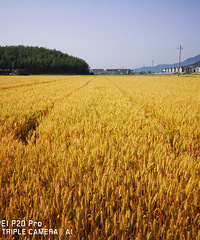 ��������ɽ�䣬�紵������Ƭ�S