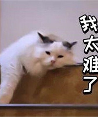 �����ѵ��͸���һ������