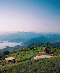 �������ռ�NO.41�����£�������ëɽ