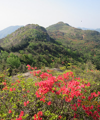 ���Ž�������̺죬�������Զž�����