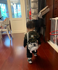 [���´���] С���ֵļ���