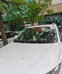 һ�Ű������������һ��365�����첻����