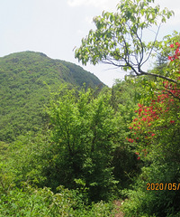 ���Ž�������̺죬�������Զž�����