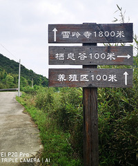 �Ͻ���ԭ��̬�񺣣��뿪���е����ֺ�����