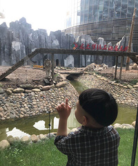 450Ԫһ��3�ڳ��κ��ݣ��������ͺ�����Ҳ�ܼ���