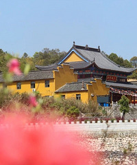 ��̨���ɽ���϶ž黨�����ϼŭ�ţ������ٵ�һ�꣡