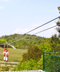 ����������������԰�Ѿ�������磬�ֲ�Ҳ���ĳ���Ƭ